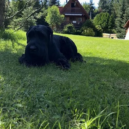 Wichrowe Wzgórze 4 Chalé