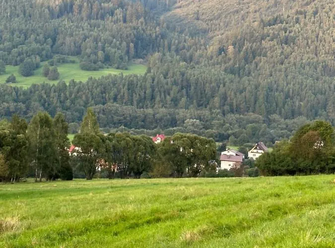 Wichrowe Wzgorze 4 *